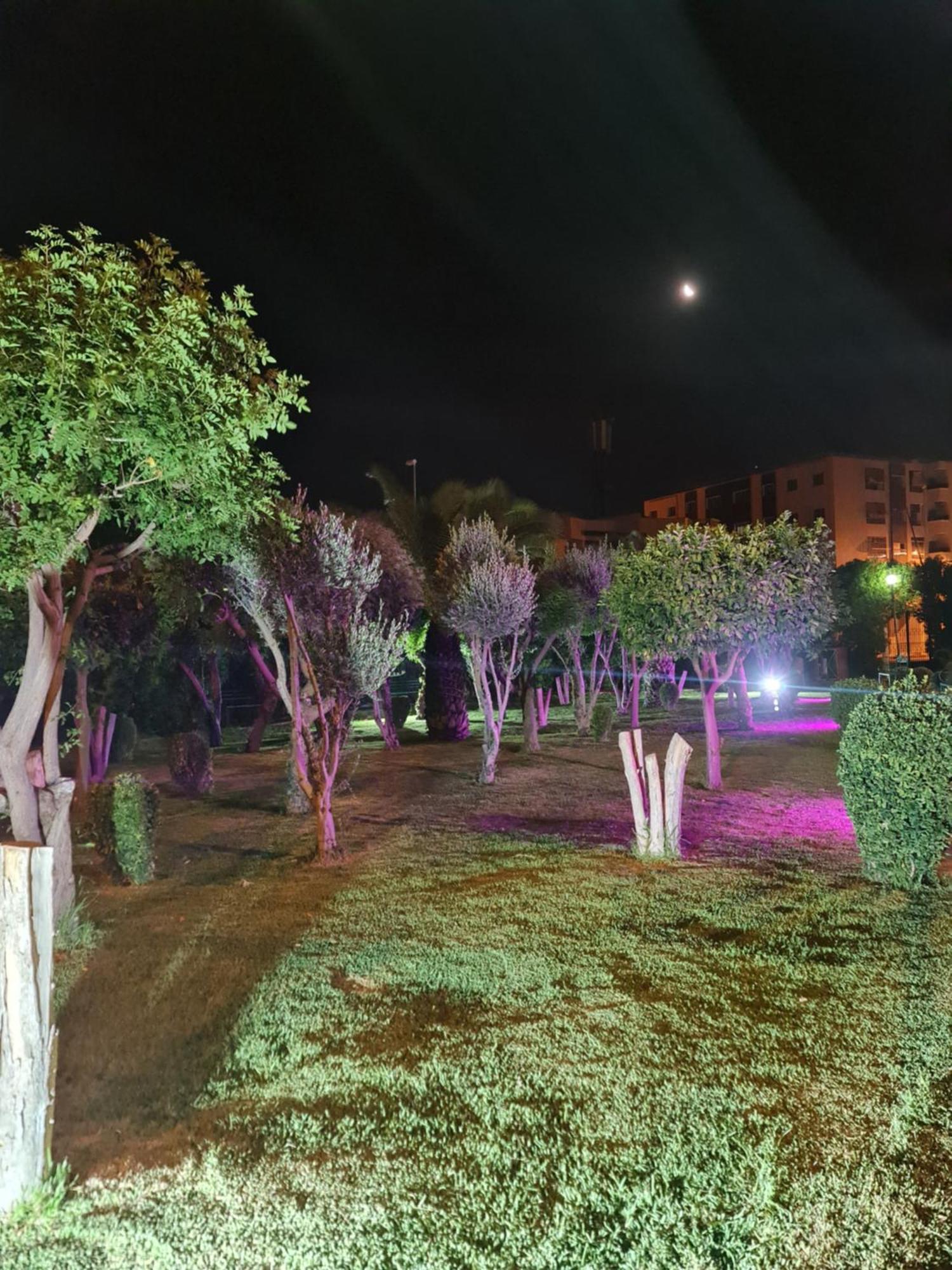 Fes Urban Apartment - Urban Elegance With Garden And Pool Access מראה חיצוני תמונה